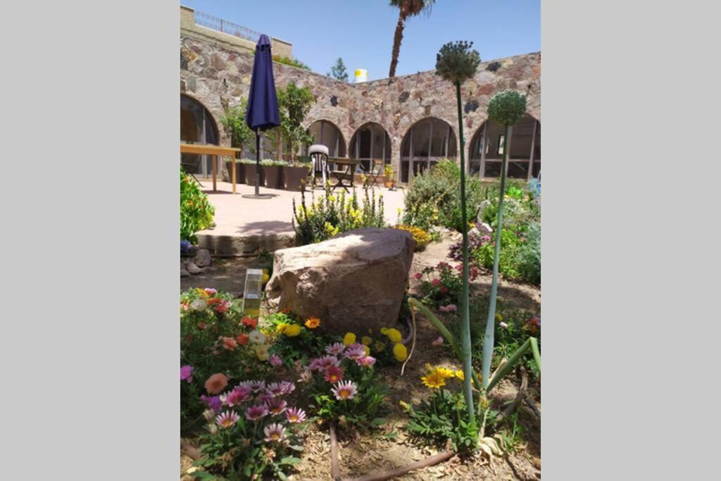 Eilat Stone - Patio אבן אילת - פטיו Apartment Екстериор снимка