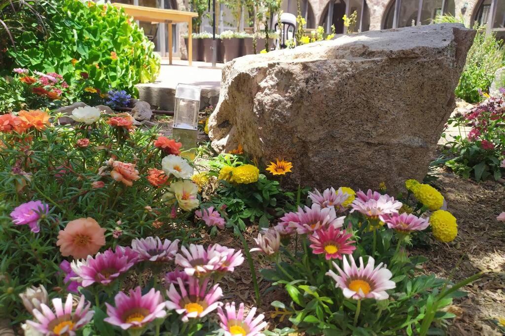 Eilat Stone - Patio אבן אילת - פטיו Apartment Екстериор снимка