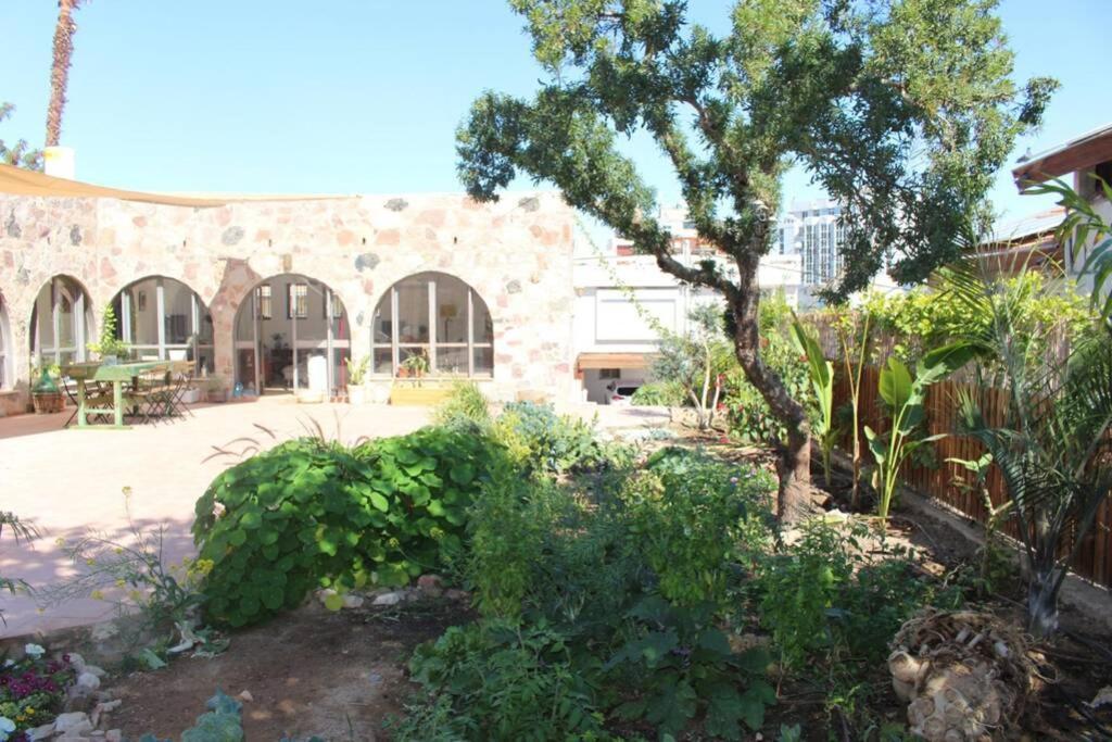 Eilat Stone - Patio אבן אילת - פטיו Apartment Екстериор снимка