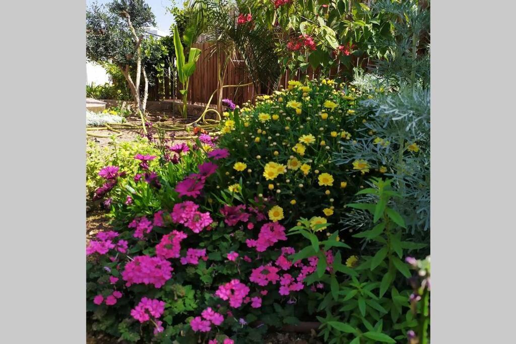 Eilat Stone - Patio אבן אילת - פטיו Apartment Екстериор снимка